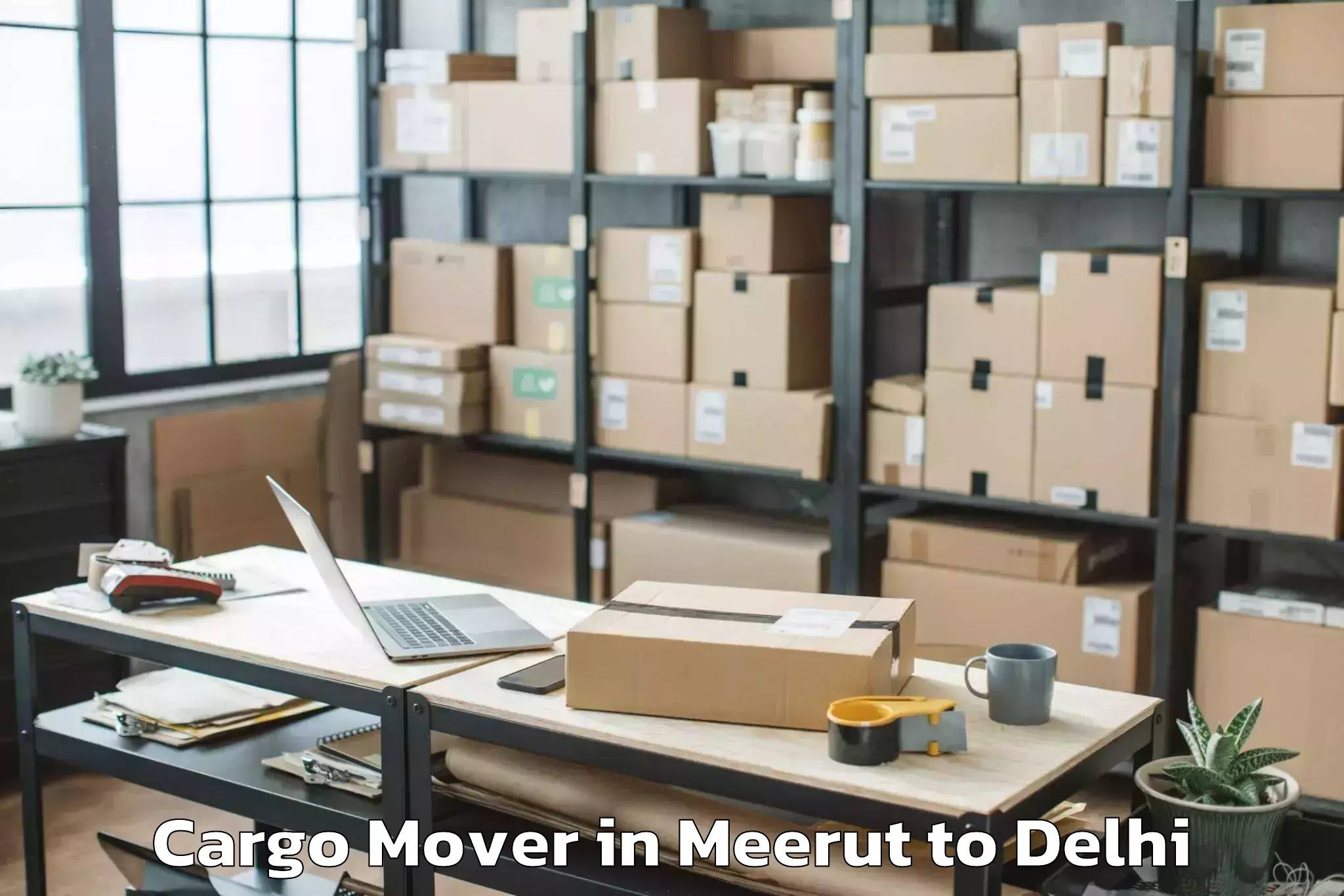 Reliable Meerut to Pacific D21 Mall Cargo Mover